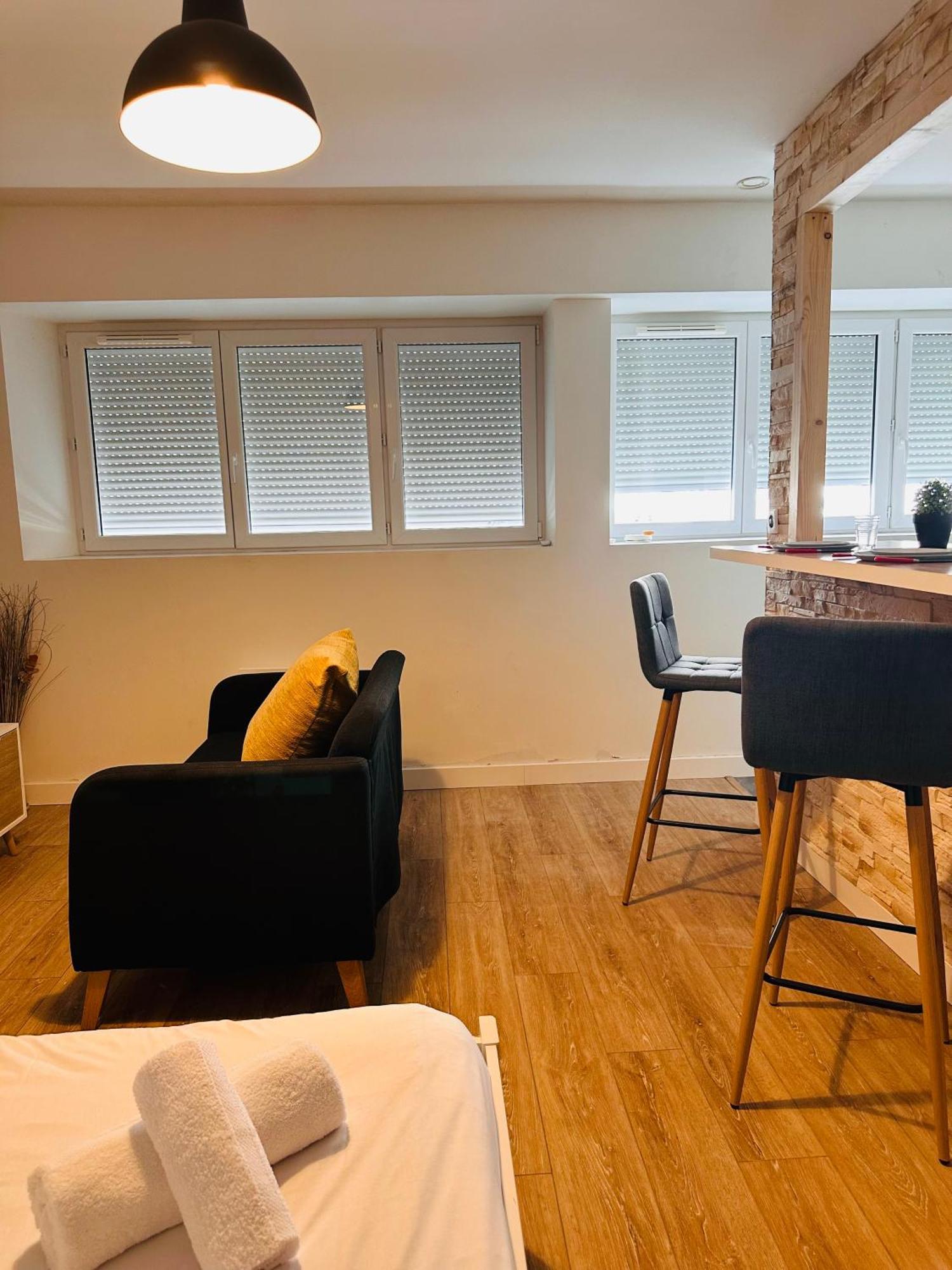 Appartement Cosy Proche De Toutes Les Commodites Ορλεάνη Εξωτερικό φωτογραφία